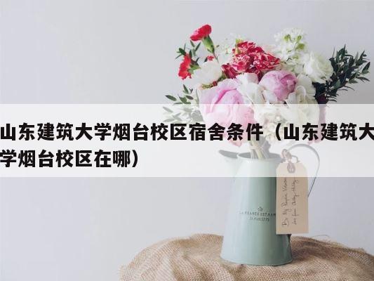 山东建筑大学烟台校区宿舍条件（山东建筑大学烟台校区在哪） 第1张