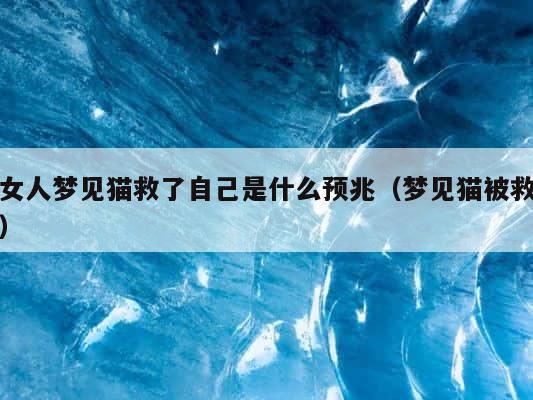 女人梦见猫救了自己是什么预兆（梦见猫被救） 第1张