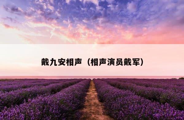 戴九安相声（相声演员戴军） 第1张