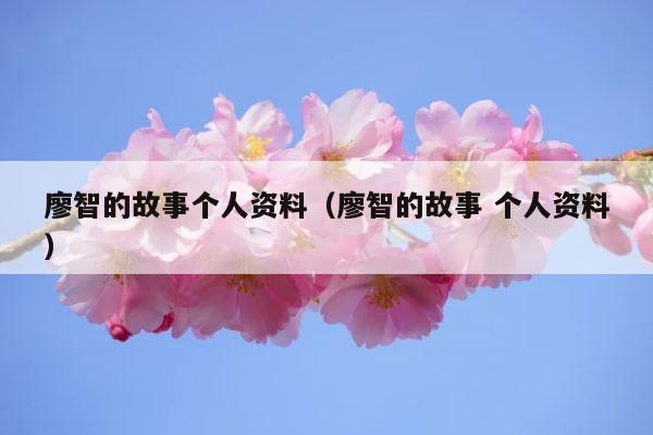 廖智的故事个人资料（廖智的故事 个人资料） 第1张