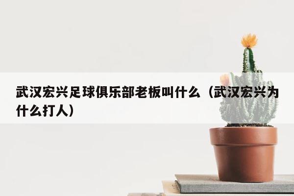 武汉宏兴足球俱乐部老板叫什么（武汉宏兴为什么打人） 第1张