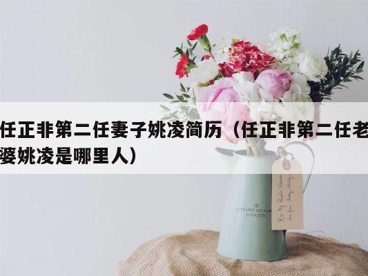 任正非第二任妻子姚凌简历（任正非第二任老婆姚凌是哪里人） 第1张