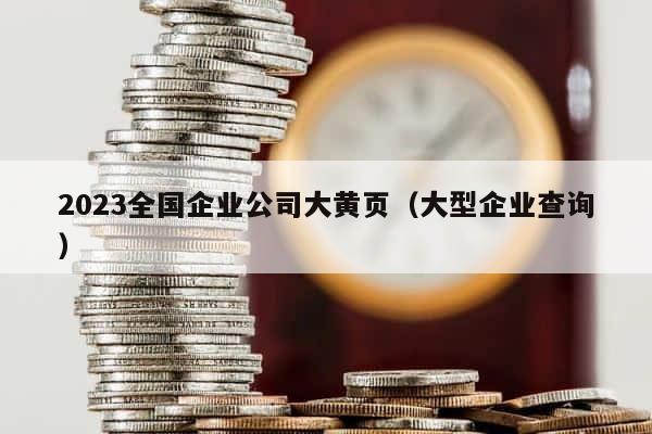2023全国企业公司大黄页（大型企业查询） 第1张