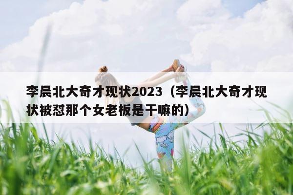 李晨北大奇才现状2023（李晨北大奇才现状被怼那个女老板是干嘛的） 第1张