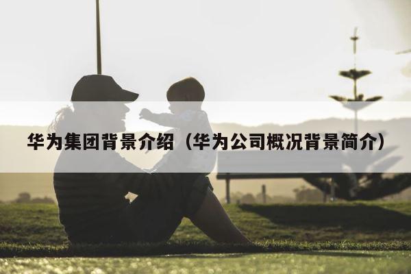 华为集团背景介绍（华为公司概况背景简介） 第1张