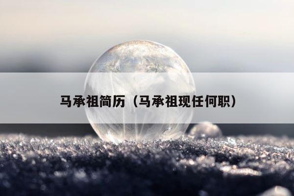 马承祖简历（马承祖现任何职） 第1张