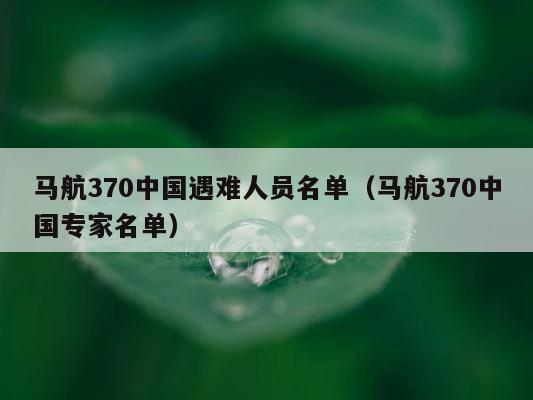 马航370中国遇难人员名单（马航370中国专家名单） 第1张