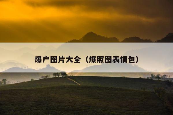 爆户图片大全（爆照图表情包） 第1张