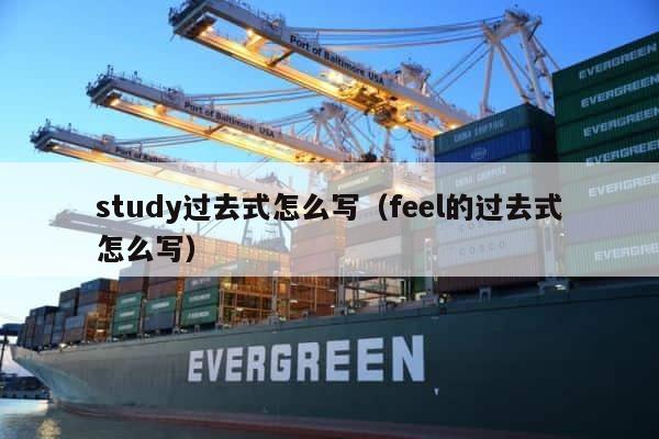 study过去式怎么写（feel的过去式怎么写） 第1张