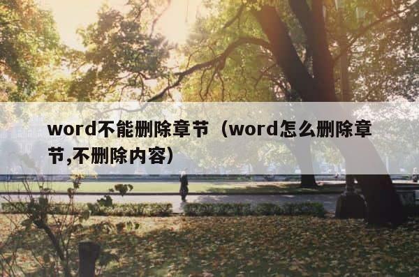 word不能删除章节（word怎么删除章节,不删除内容） 第1张