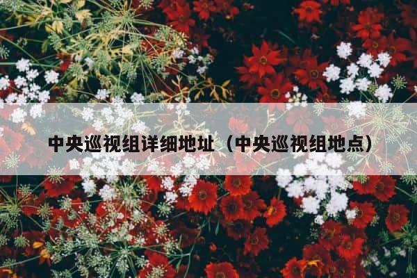 中央巡视组详细地址（中央巡视组地点） 第1张