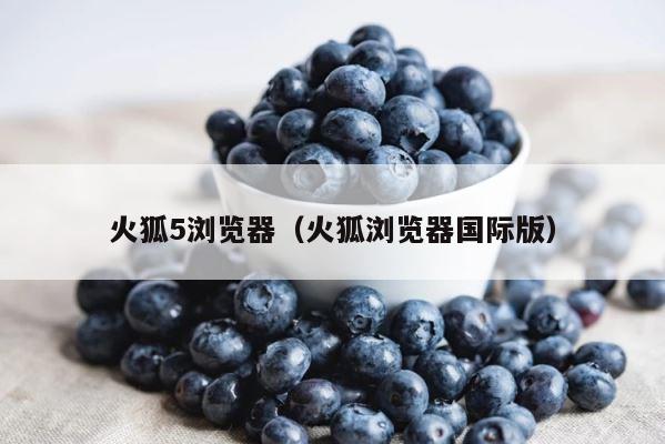火狐5浏览器（火狐浏览器国际版） 第1张