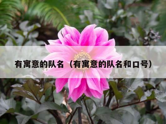有寓意的队名（有寓意的队名和口号） 第1张