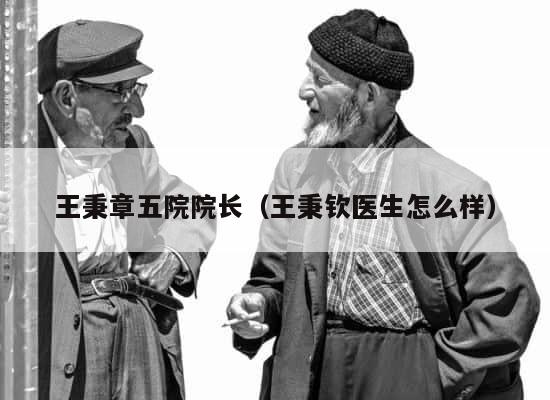 王秉章五院院长（王秉钦医生怎么样） 第1张