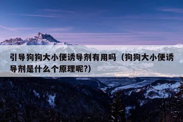 引导狗狗大小便诱导剂有用吗（狗狗大小便诱导剂是什么个原理呢?） 第1张