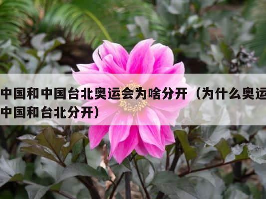 中国和中国台北奥运会为啥分开（为什么奥运中国和台北分开） 第1张