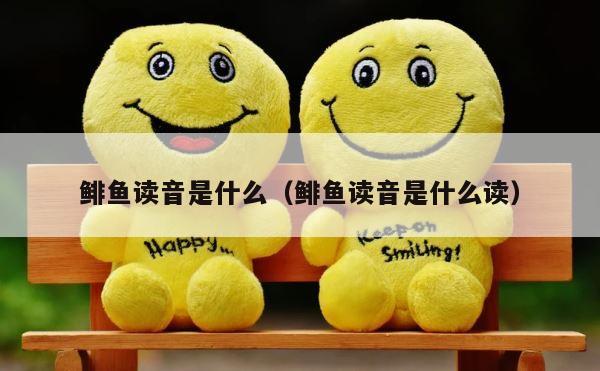 鲱鱼读音是什么（鲱鱼读音是什么读） 第1张