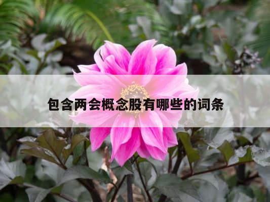 包含两会概念股有哪些的词条 第1张