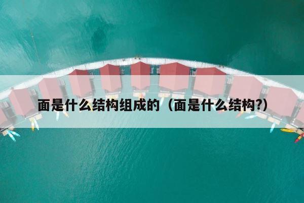 面是什么结构组成的（面是什么结构?） 第1张