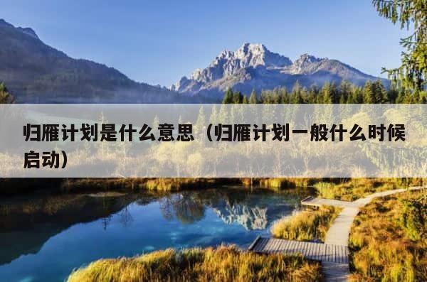 归雁计划是什么意思（归雁计划一般什么时候启动） 第1张