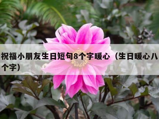 祝福小朋友生日短句8个字暖心（生日暖心八个字） 第1张