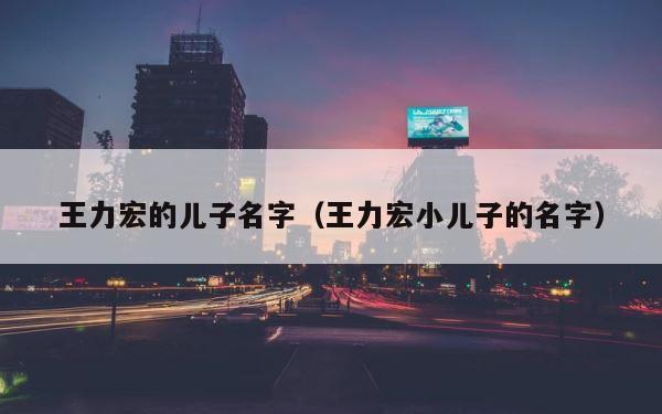 王力宏的儿子名字（王力宏小儿子的名字） 第1张