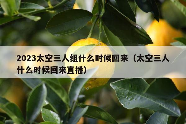 2023太空三人组什么时候回来（太空三人什么时候回来直播） 第1张