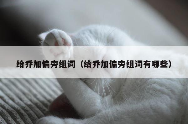 给乔加偏旁组词（给乔加偏旁组词有哪些） 第1张
