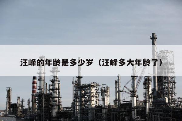 汪峰的年龄是多少岁（汪峰多大年龄了） 第1张