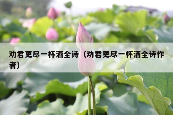 劝君更尽一杯酒全诗（劝君更尽一杯酒全诗作者） 第1张