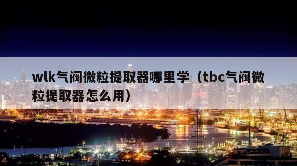 wlk气阀微粒提取器哪里学（tbc气阀微粒提取器怎么用） 第1张