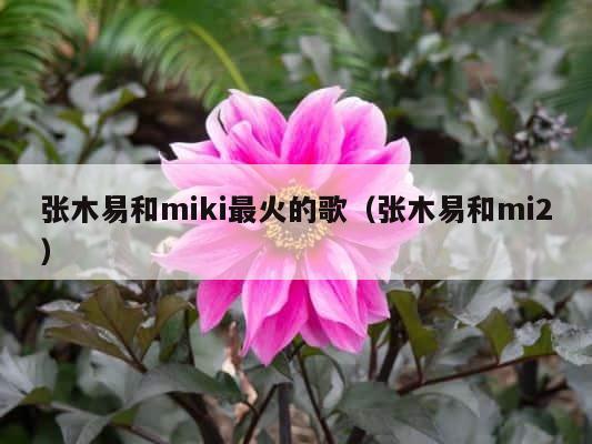 张木易和miki最火的歌（张木易和mi2） 第1张