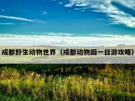 成都野生动物世界（成都动物园一日游攻略） 第1张