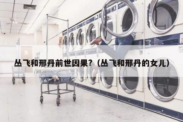 丛飞和邢丹前世因果?（丛飞和邢丹的女儿） 第1张