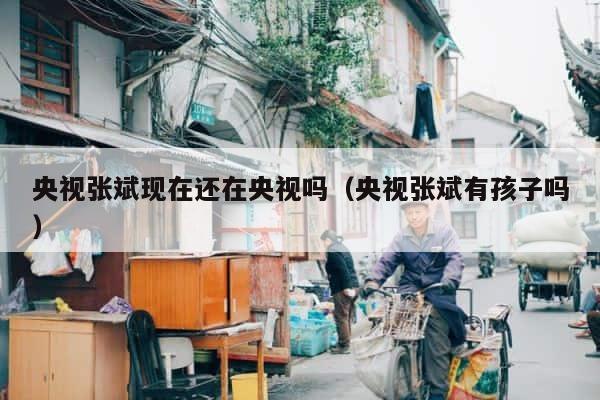 央视张斌现在还在央视吗（央视张斌有孩子吗） 第1张