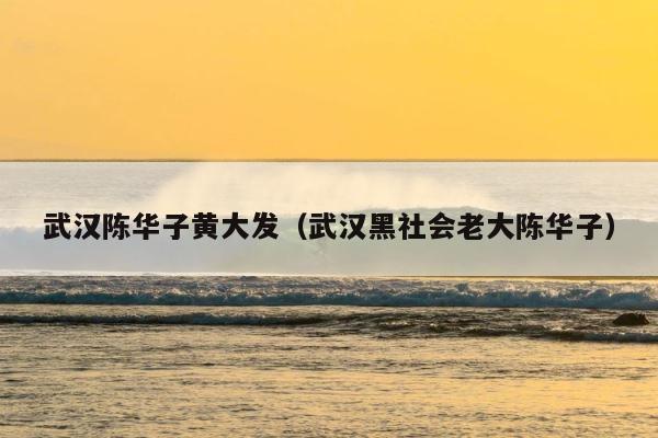 武汉陈华子黄大发（武汉黑社会老大陈华子） 第1张