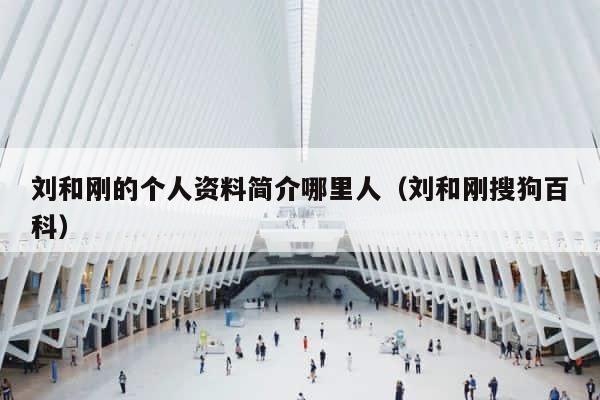刘和刚的个人资料简介哪里人（刘和刚搜狗百科） 第1张