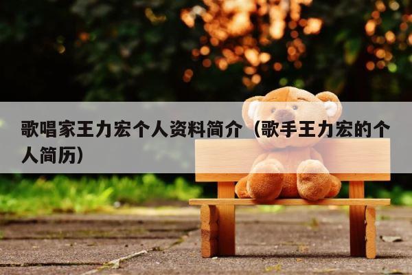 歌唱家王力宏个人资料简介（歌手王力宏的个人简历） 第1张