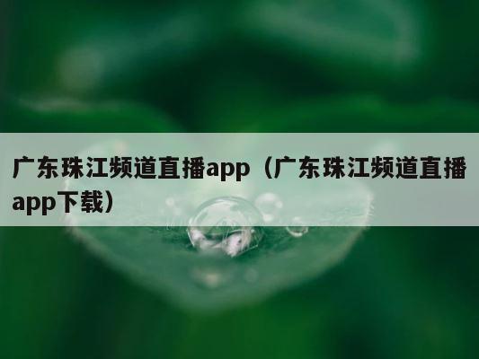 广东珠江频道直播app（广东珠江频道直播app下载） 第1张