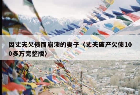 因丈夫欠债而崩溃的妻子（丈夫破产欠债100多万完整版） 第1张