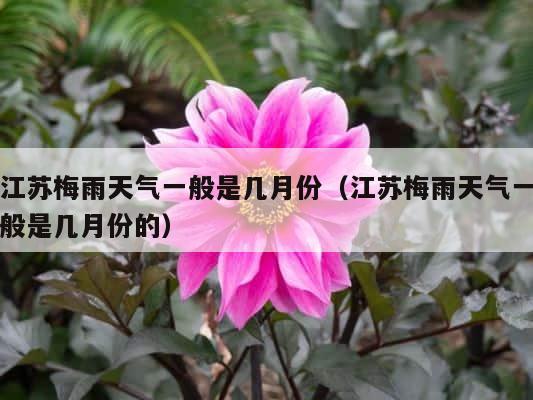 江苏梅雨天气一般是几月份（江苏梅雨天气一般是几月份的） 第1张