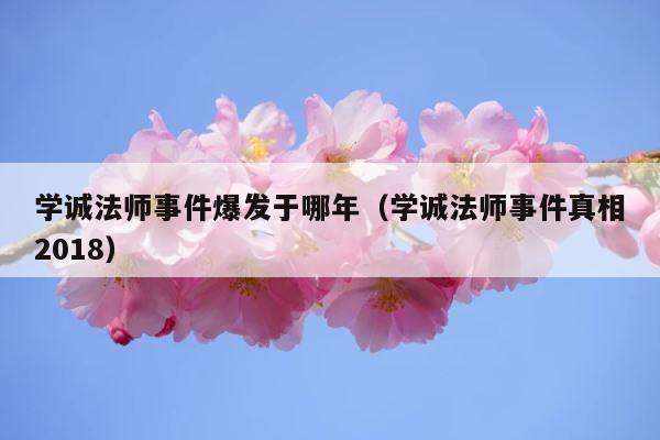 学诚法师事件爆发于哪年（学诚法师事件真相2018） 第1张