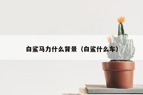 白鲨马力什么背景（白鲨什么车） 第1张