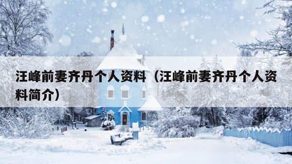 汪峰前妻齐丹个人资料（汪峰前妻齐丹个人资料简介） 第1张