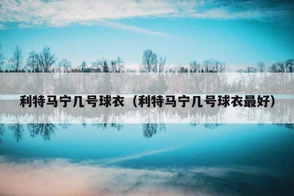 利特马宁几号球衣（利特马宁几号球衣最好） 第1张