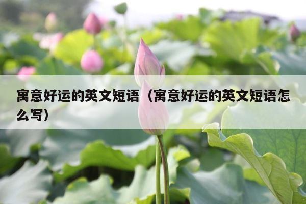 寓意好运的英文短语（寓意好运的英文短语怎么写） 第1张