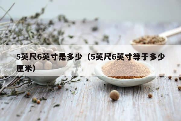 5英尺6英寸是多少（5英尺6英寸等于多少厘米） 第1张