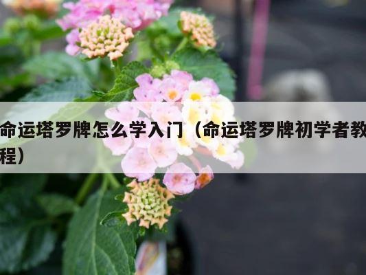 命运塔罗牌怎么学入门（命运塔罗牌初学者教程） 第1张