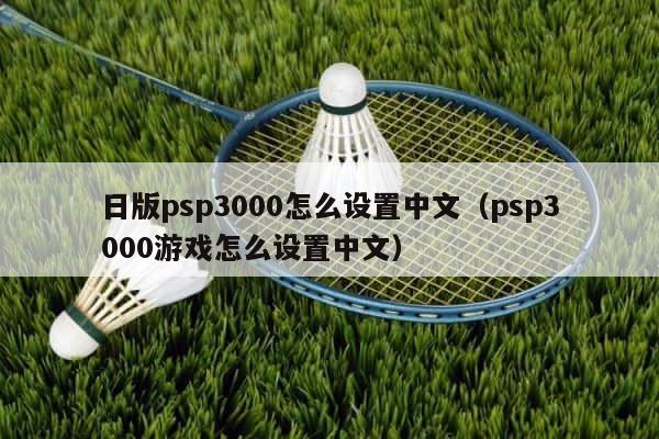 日版psp3000怎么设置中文（psp3000游戏怎么设置中文） 第1张