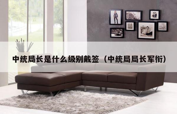 中统局长是什么级别戴签（中统局局长军衔） 第1张